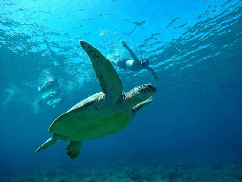 From Lombok: Private Snorkeling Trip include GOPRO shoot - Practical Details: Timing, Meeting Points, and Flexibility