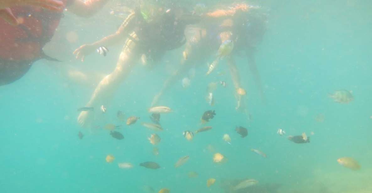 From Lombok: Southern Gilis Private Snorkelling Day Trip - Key Points
