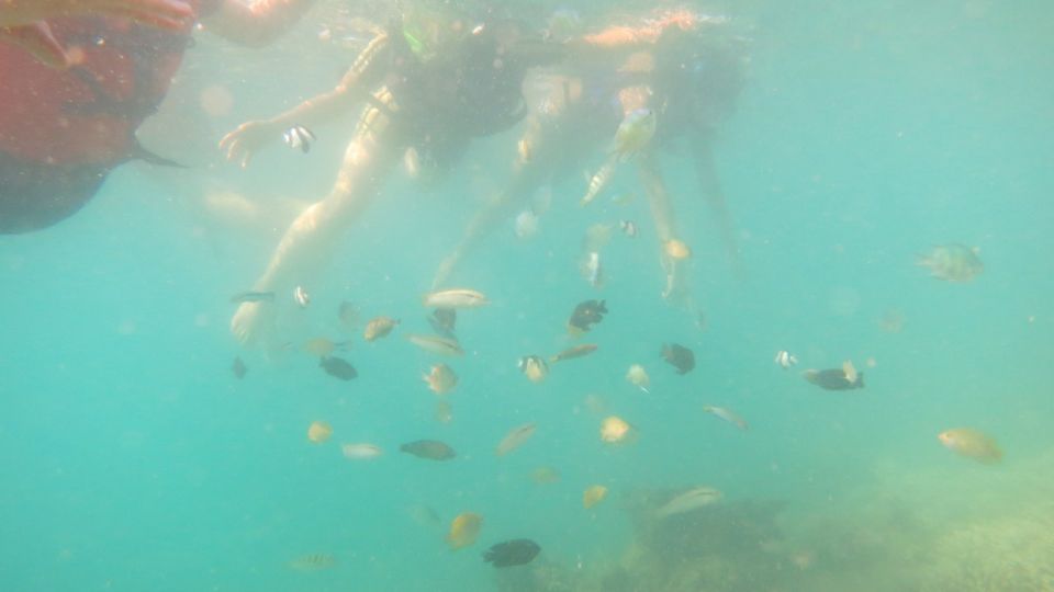 From Lombok: Southern Gilis Private Snorkelling Day Trip - Destinations Explored