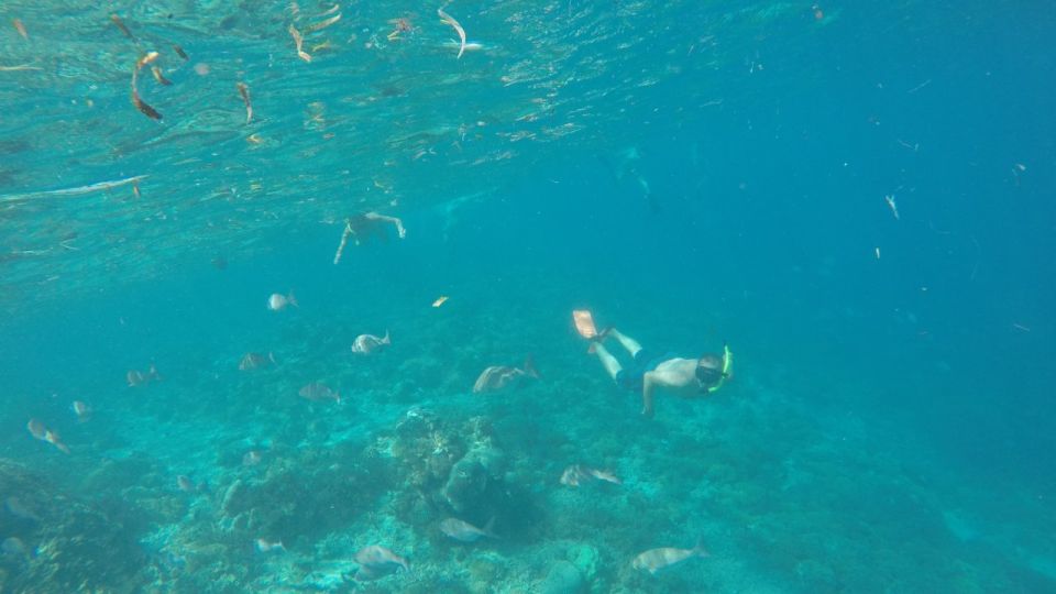 From Lombok: Southern Gilis Private Snorkelling Day Trip - Important Considerations