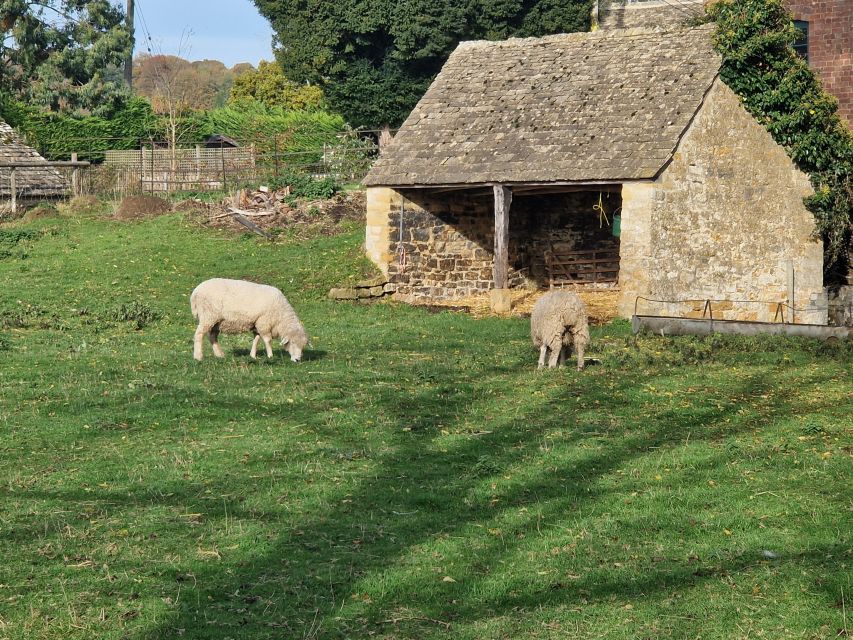 From London: Downton Abbey Full-Day Tour - Filming Locations