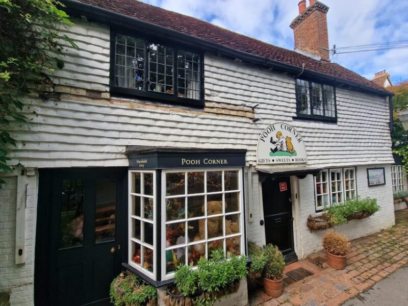 From London: Winnie-the-Pooh's Hundred Acre Wood Day Tour - An In-Depth Look at the Tour Experience