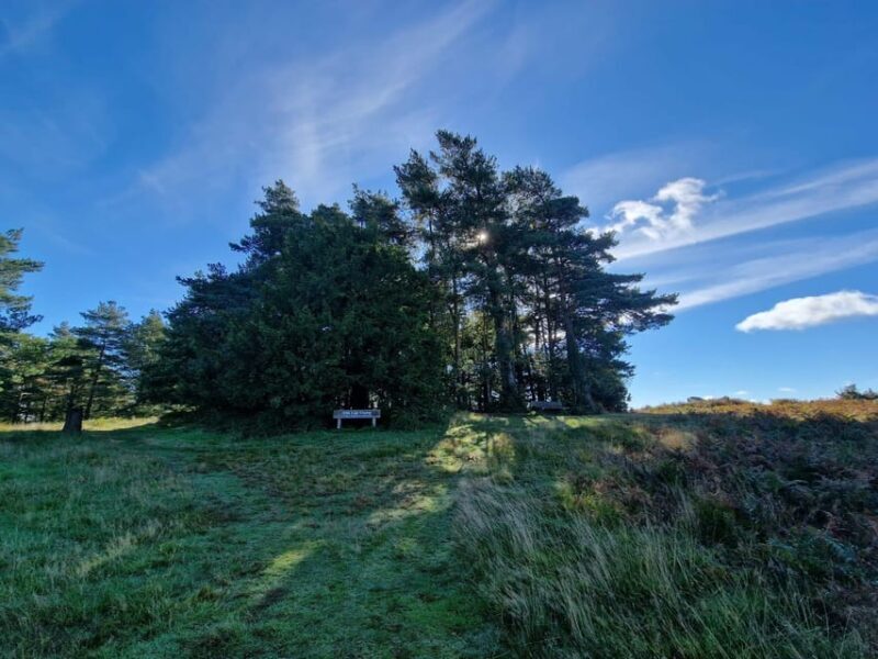 From London: Winnie-the-Pooh's Hundred Acre Wood Day Tour - The Sum Up
