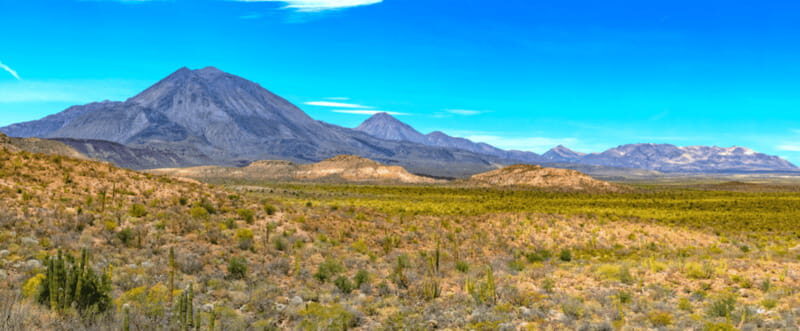 From Los Cabos: City Tour La Paz, Balandra and Todos Santos - Transportation, Group Size, and Practical Details