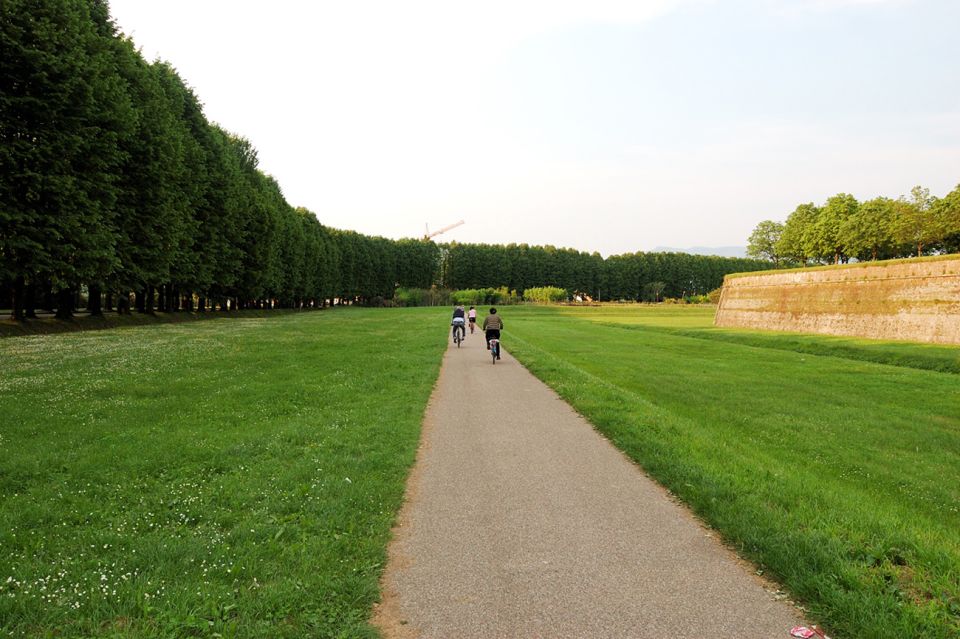 From Lucca to Pisa: Self-Guided Bike Tour - Experience Highlights