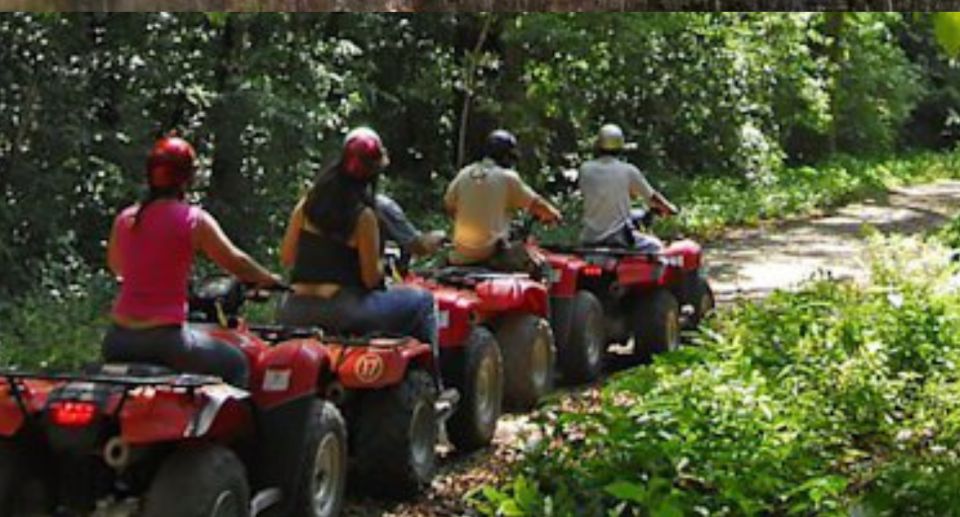 From Lucea/Montego Bay: Blue Hole & Dunns River Falls Tour - Tour Overview