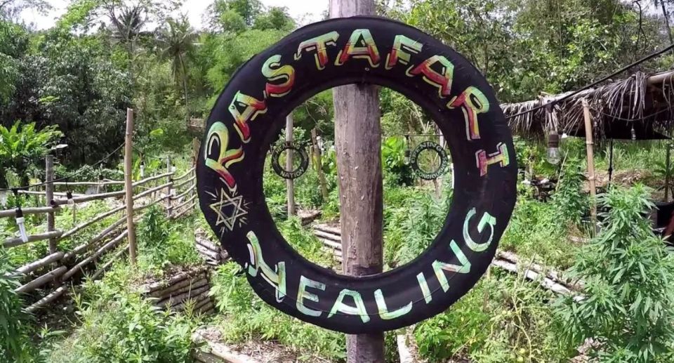 From Lucea/Montego Bay: Blue Hole & Dunns River Falls Tour - Communities of Interest