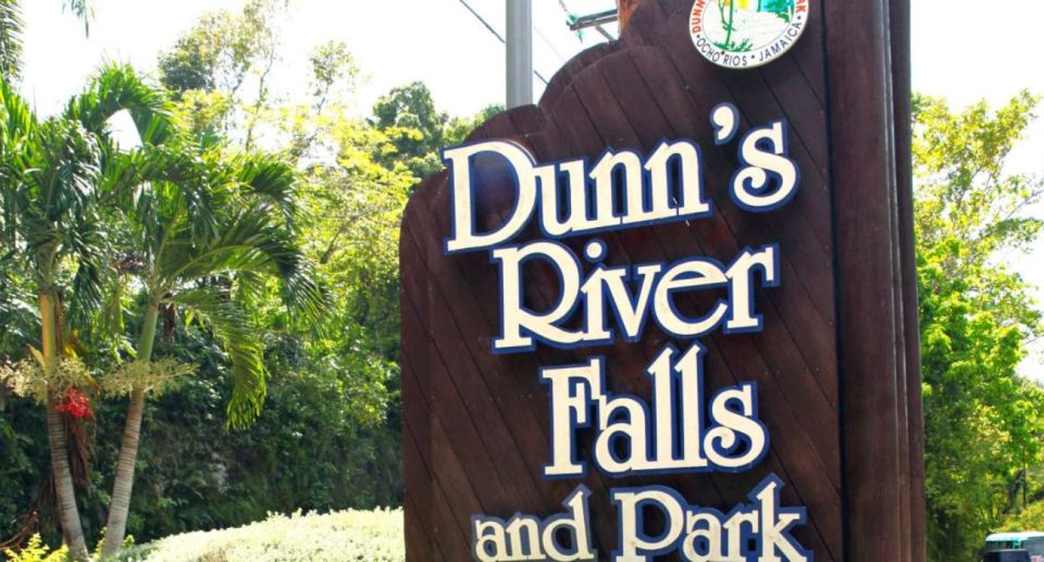 From Lucea/Montego Bay: Blue Hole & Dunns River Falls Tour - Unleash Your Wild Side