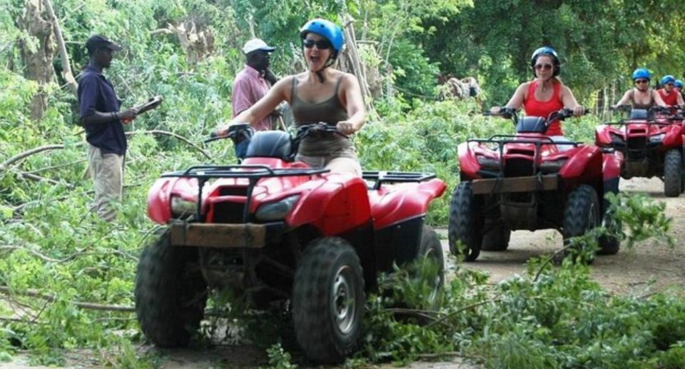 From Lucea/Montego Bay: Blue Hole & Dunns River Falls Tour - Inclusions and Pricing