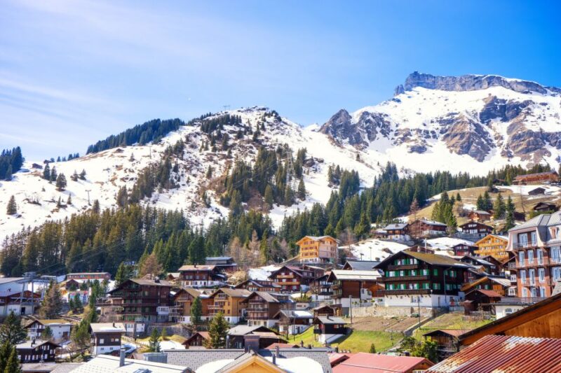 From Lucerne: Private Day Tour to Interlaken and Grindelwald - Key Highlights and Experiences