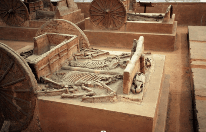 From Luoyang to Anyang Visit Yin Ruins & Character Museum - Important Information