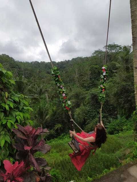 From lush Terraces to Sacred waters - Why Choose This Tour?