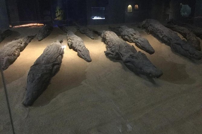 From Luxor: Private Day Trip to Edfu and Kom Ombo - Accessibility and Requirements