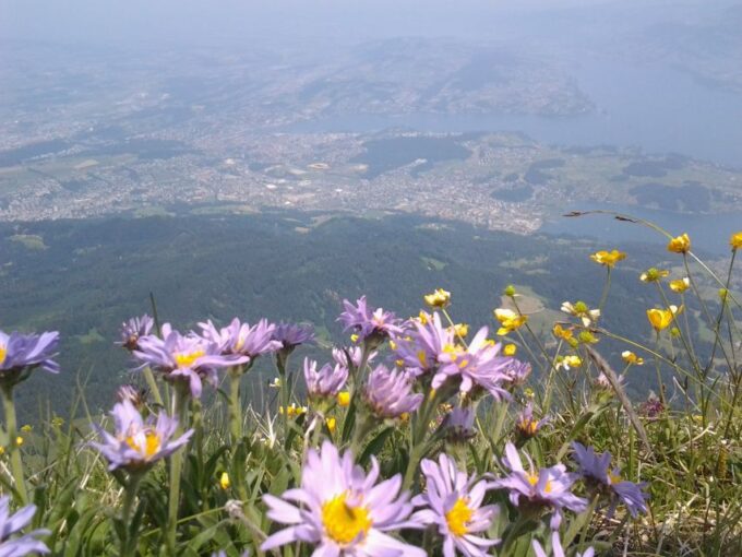 From Luzern:Small Group Tour Golden Roundtrip to Mt. Pilatus - Transportation Options