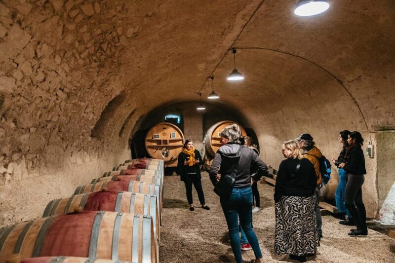 From Lyon: Beaujolais Region Wine Tour With Tastings - Key Points