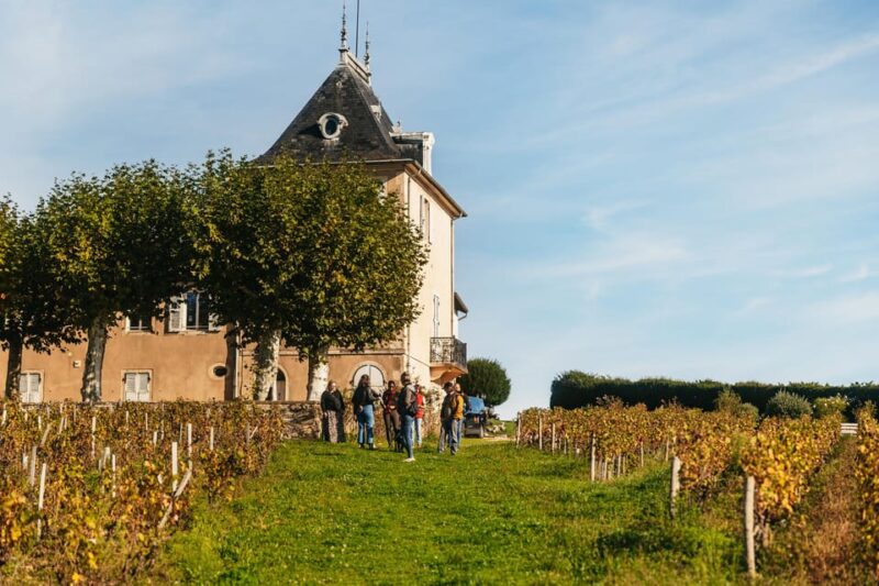 From Lyon: Beaujolais Region Wine Tour With Tastings - Itinerary Highlights