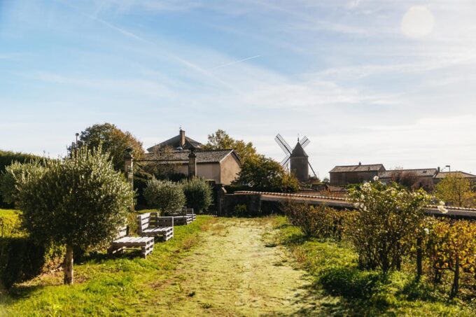From Lyon: Beaujolais Region Wine Tour With Tastings - Frequently Asked Questions