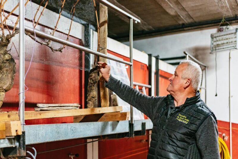 From Lyon: Beaujolais Wine Tasting Day Tour - Itinerary Highlights
