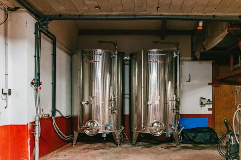 From Lyon: Beaujolais Wine Tasting Day Tour - Meet the Winemaker