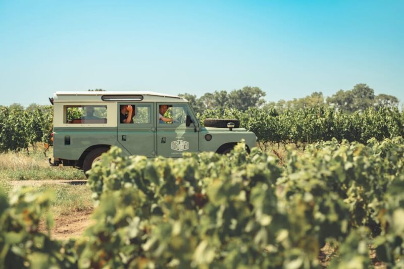 From Lyon: Burgundy Private Half Day Tour by Defender - Key Points