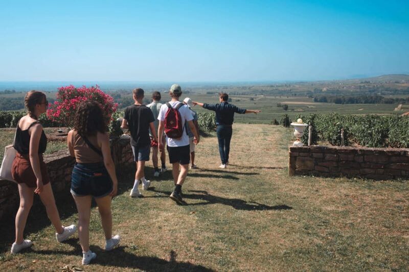From Lyon: Burgundy Private Half Day Tour by Defender - Experience Highlights