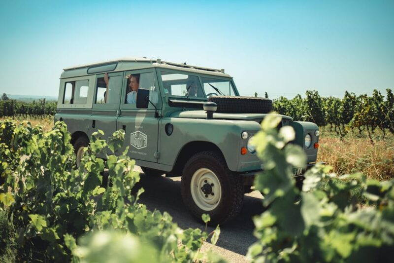From Lyon: Burgundy Private Half Day Tour by Defender - Discovering Burgundys Wine Heritage