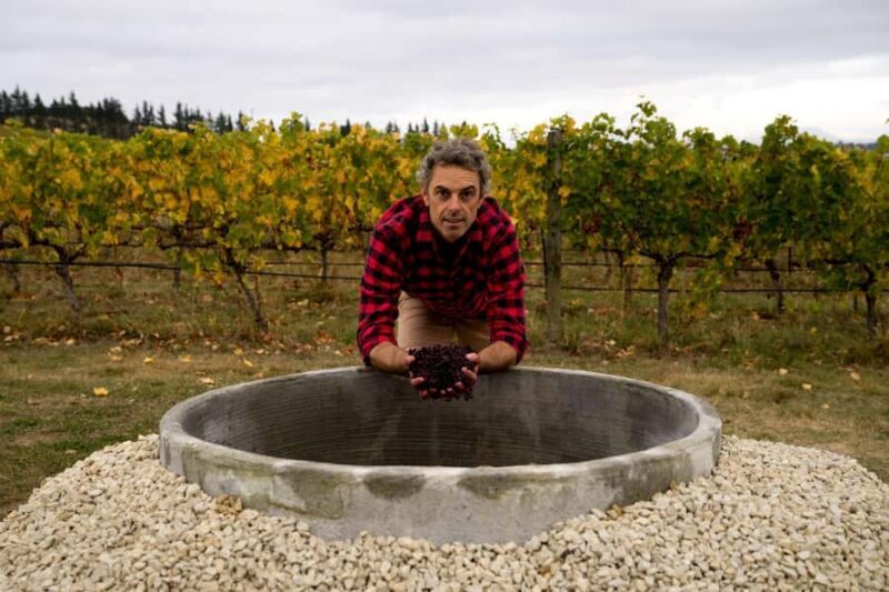 From Lyttelton: Private Wine Tour & Chefs Degustation - Who Will Love This Tour?