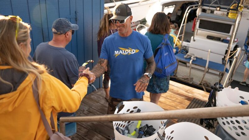 From Ma'alaea: Afternoon Whale Watch Tour Aboard the Malolo - What to Expect During the Tour