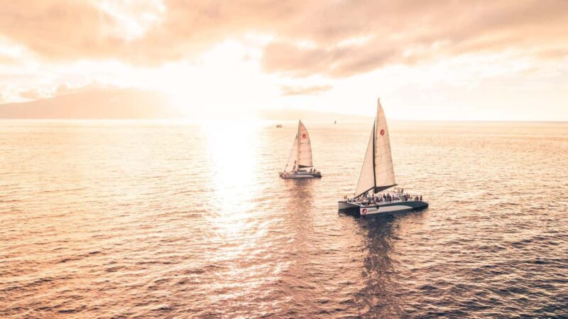 From Ma'alaea: 'Alihilani Sunset Sail Catamaran Tour - Final Thoughts