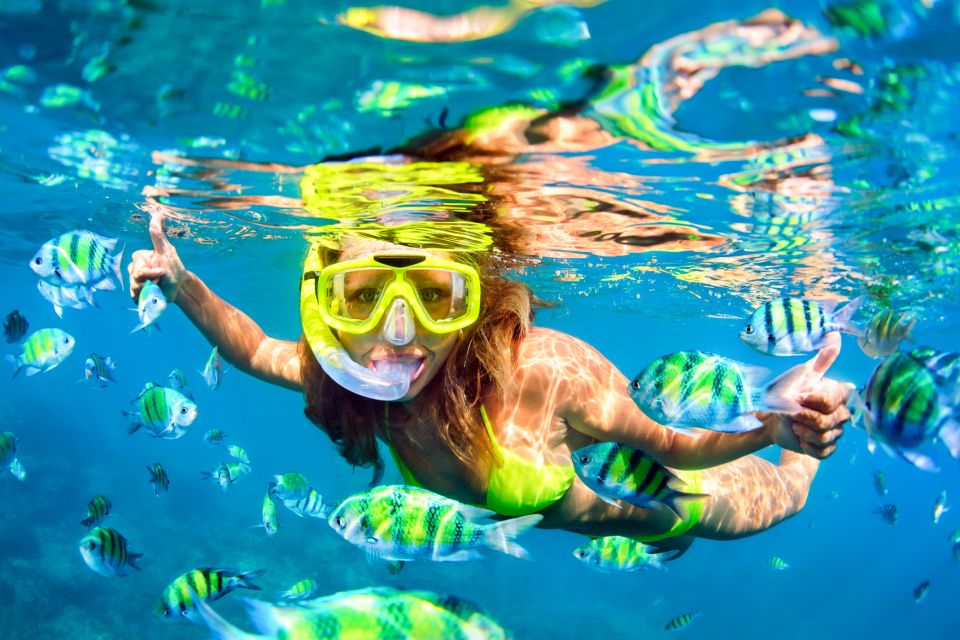 From Maalaea Harbor: Lanai Snorkel and Dolphin Adventure - Rental and Purchase Options