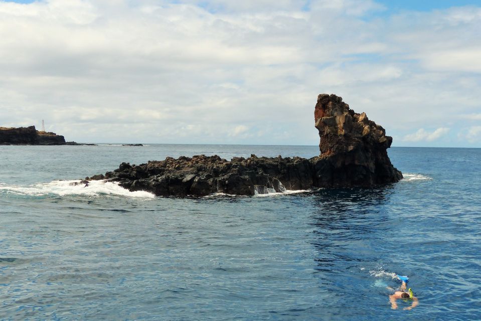 From Maalaea Harbor: Lanai Snorkel and Dolphin Adventure - Frequently Asked Questions