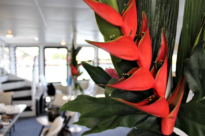 From Maalaea Harbor: Thanksgiving Dinner Cruise Aboard Calypso - Guest Requirements