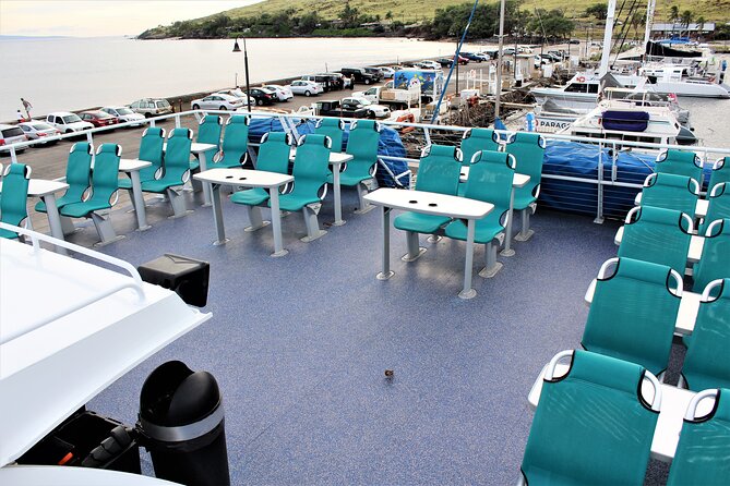 From Maalaea Harbor: Thanksgiving Dinner Cruise Aboard Calypso - Tips for a Great Experience