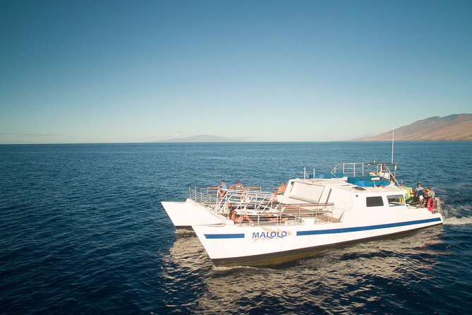 From Maalaea Harbor: Whale Watch Cruise Aboard the Malolo - Booking and Cancellation Policies