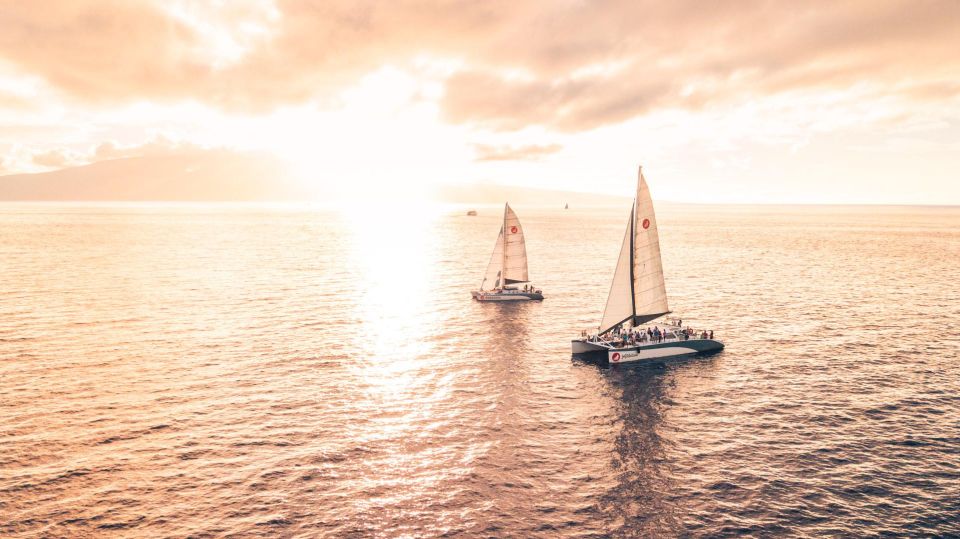 From Maalaea: Maui Sunset Cruise With Drinks and Snacks - Recap