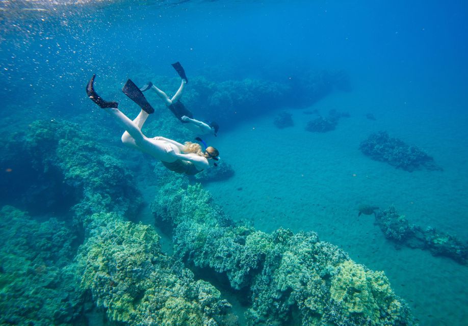 From Maalaea: Turtle Town 3-Hour Snorkel and Sail Adventure - Meeting Point and Parking Information