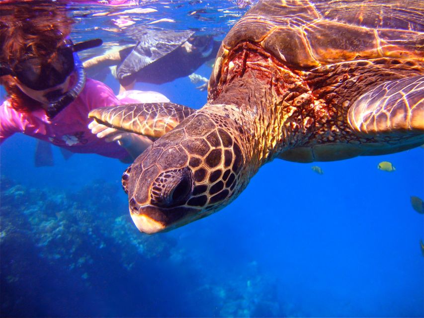 From Maalaea: Turtle Town Snorkel Aboard the Quicksilver - Inclusions and Onboard Amenities