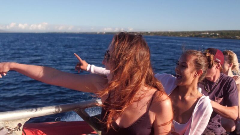 From Maalaea: Whale Watching Catamaran Cruise with Drinks - Who Will Love This Tour?