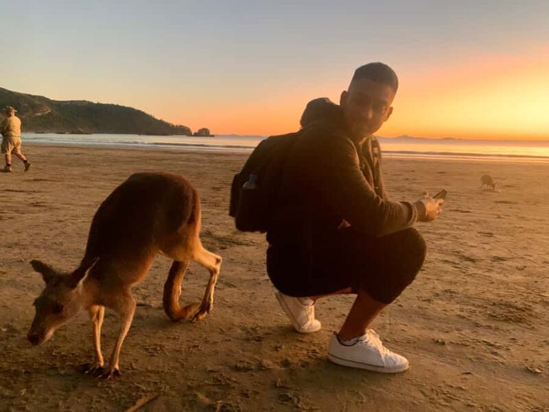 From Mackay: Wallabies on the Beach Sunrise Trip - What to Expect: An Honest Look at the Experience