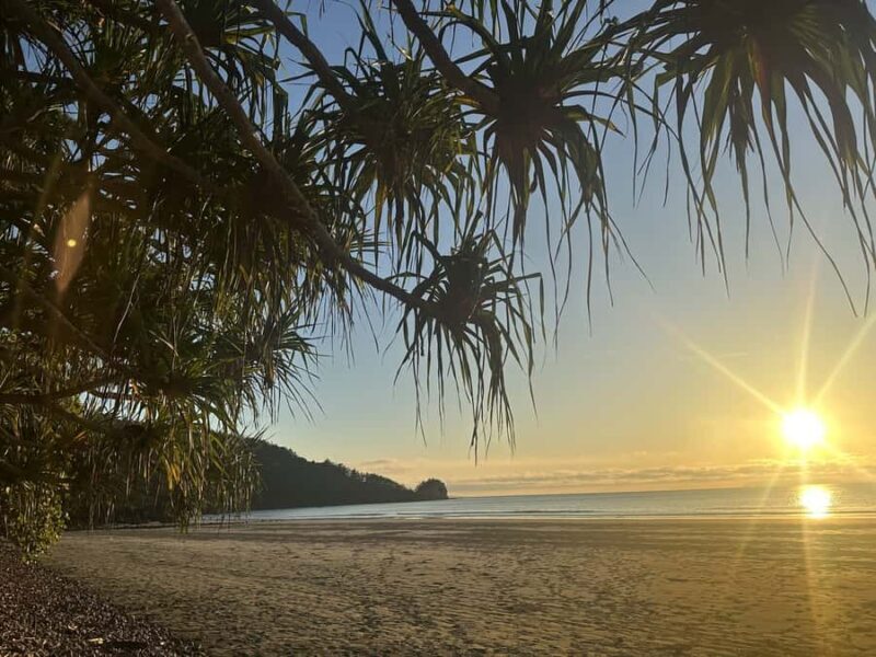From Mackay: Wallabies on the Beach Sunrise Trip - Final Thoughts