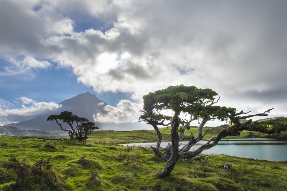 From Madalena: Pico Volcanoes and Lakes Guided Day Tour - Lunch on Pico Island