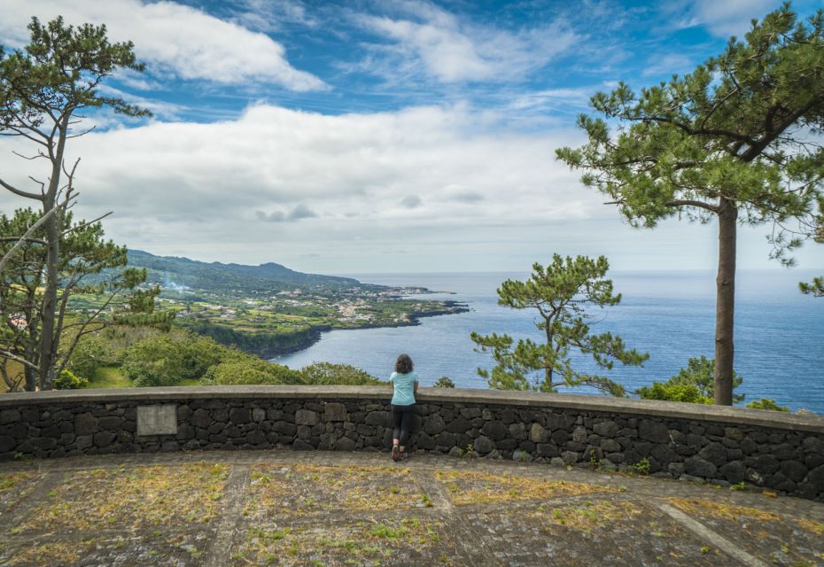 From Madalena: Pico Volcanoes and Lakes Guided Day Tour - Endemic Flora and Fauna