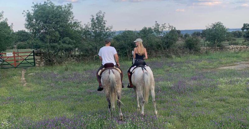 From Madrid: Horseback Riding Experience - Itinerary Details