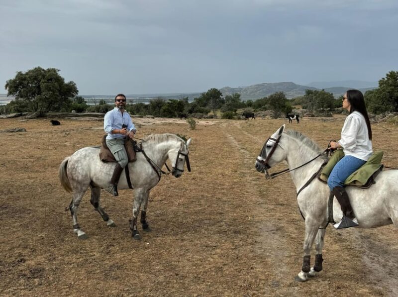 From Madrid: Horseback Riding Experience - Highlights and Benefits