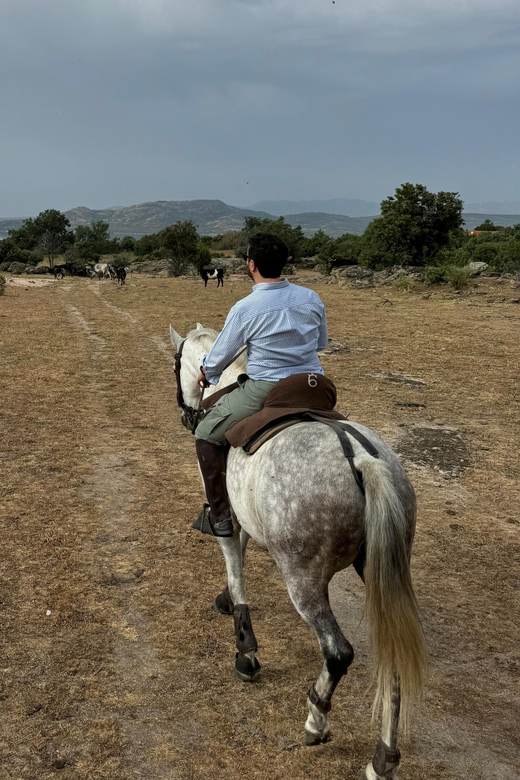 From Madrid: Horseback Riding Experience - What to Expect During the Horseback Ride