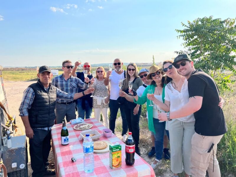 From Madrid: Hot Air Balloon Over Toledo - Key Points