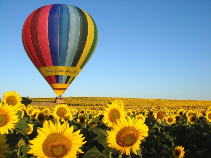 From Madrid: Hot Air Balloon Ride in Segovia With Pickup - Reaching New Heights Over Segovia