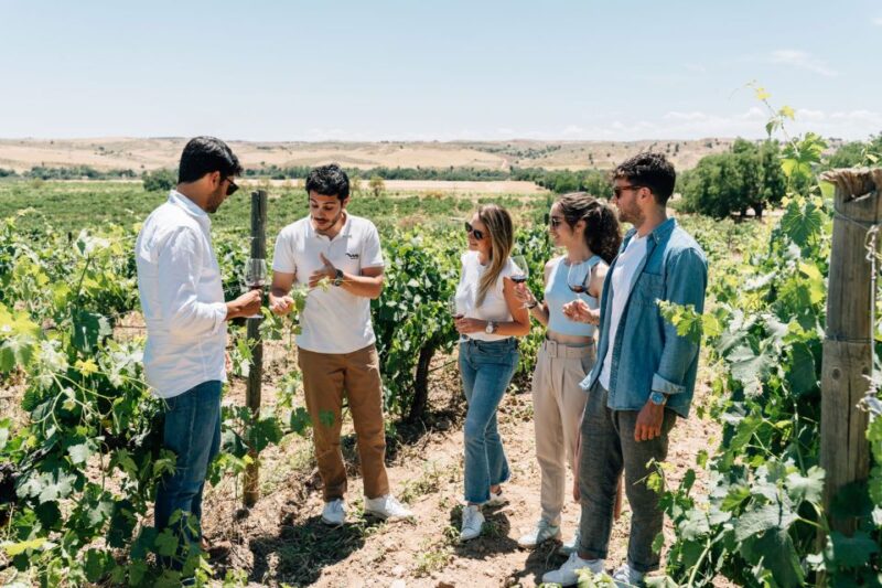 From Madrid: Toledo City Tour and Wine Tasting Experience - Highlights of the Itinerary
