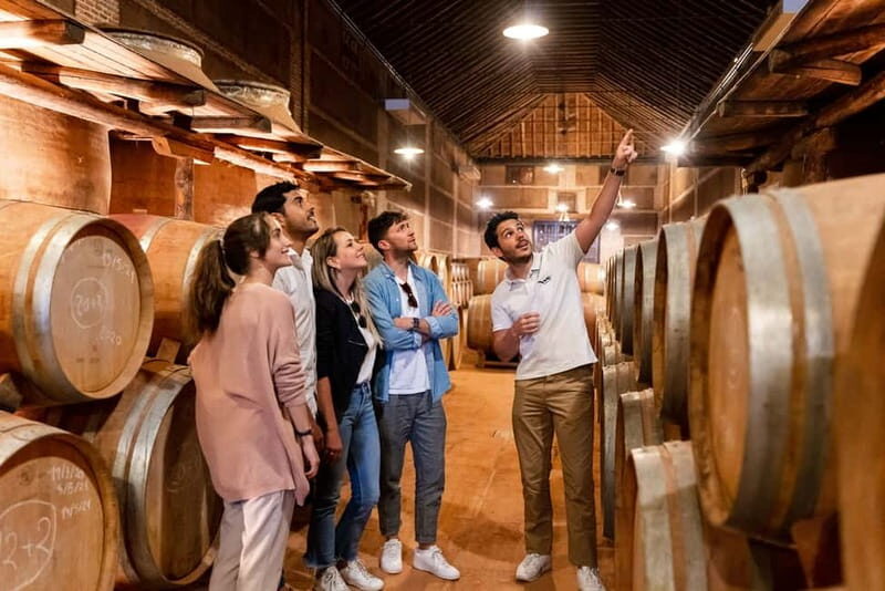 From Madrid: Toledo Guided Tour & Winery Visit with Tasting - Starting Out: Convenient Pickup and Comfortable Transit