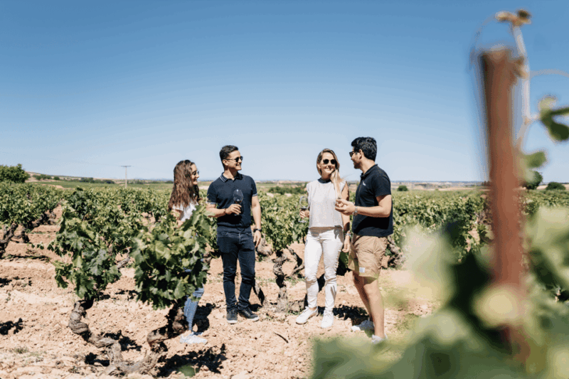 From Madrid: Traditional Villages, Winery Tour & Tapas Lunch - Key Points